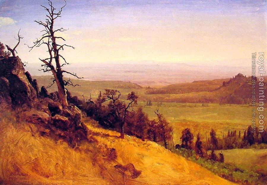 Albert Bierstadt : Nebraska Wasatch Mountains